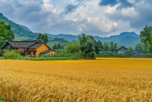 乡村自然风景图片（乡村自然风景图片竖屏）