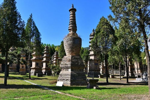 洛阳十大旅游景点（洛阳旅游景点大全景点排名榜免费）