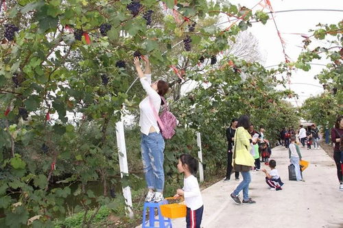 盘锦旅游攻略必玩的景点（盘锦旅游攻略必玩的景点4月）