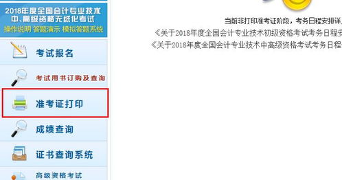 会计初级准考证打印网址（会计初级考试准考证打印入口官网）